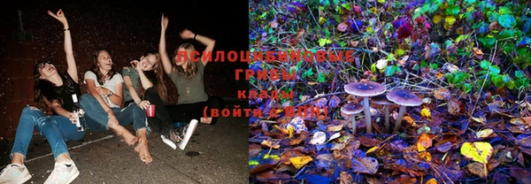 таблы Горнозаводск